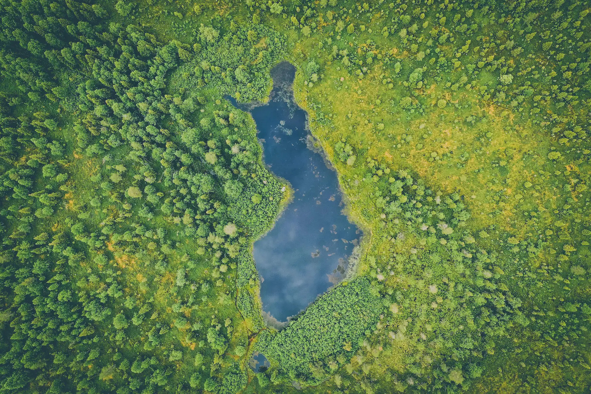 En Finlandsformad tjärn mitt i skogen fotograferad från luften